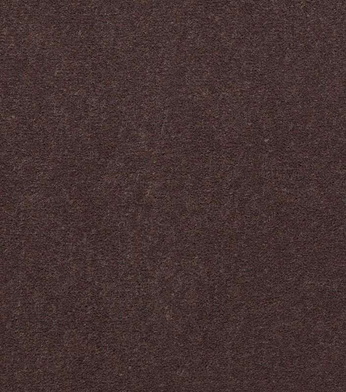 Image Alt Text